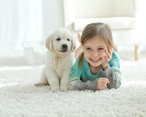 clean carpets pets